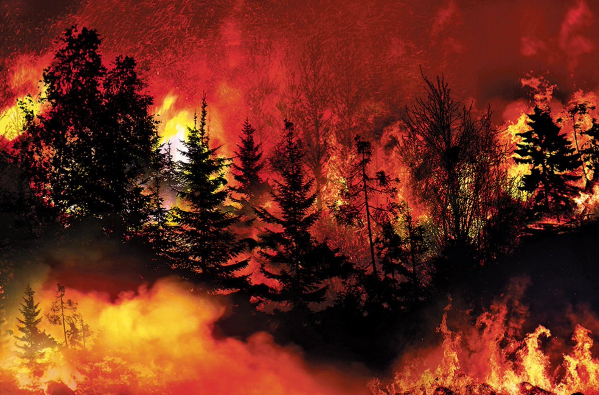 BuildingExcelle's tweet photo. Given recent news, this is more relevant than ever: How homebuilders can limit the risk from wind and fire damage.

https://t.co/KW3sSD9k74

@CHBANational

#chbanational
#chba
#homebuilders
#wildfires
#fireprotection
#windresistance
#fireresistance
#firesmart https://t.co/E1y994ihF5