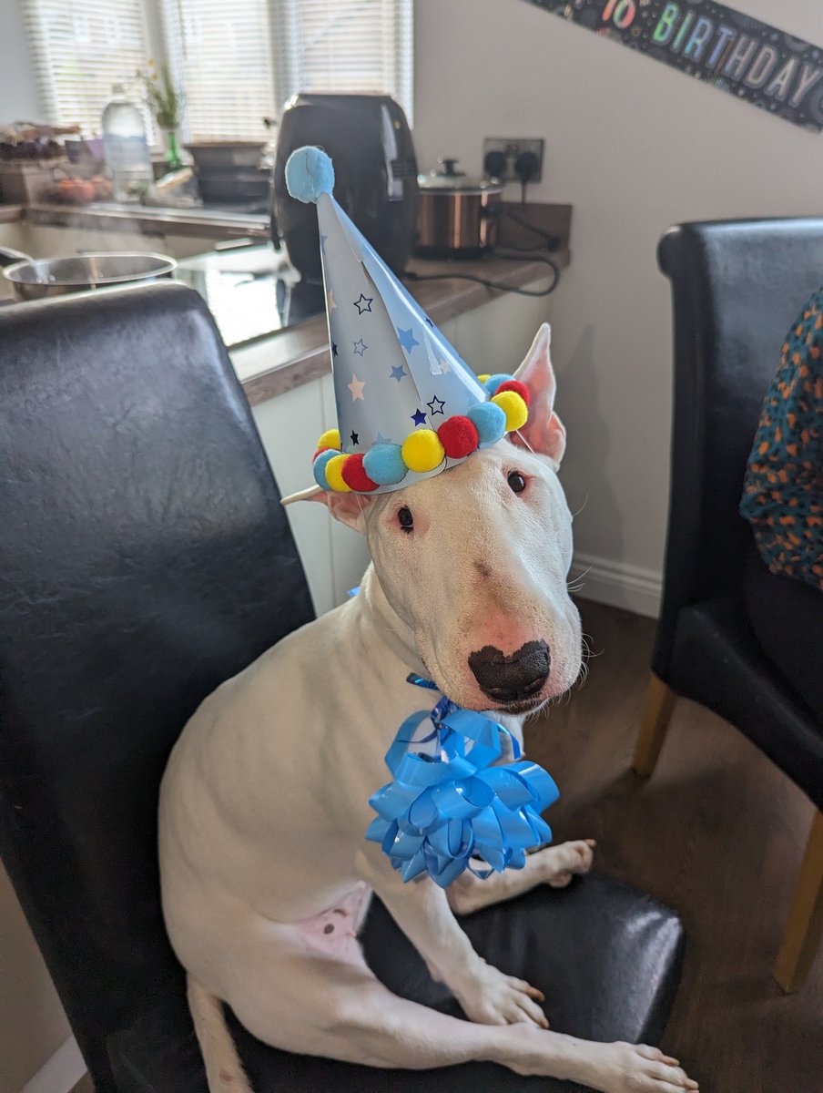 CobenNicholson's tweet image. Happy 2nd birthday baby girl 🩷