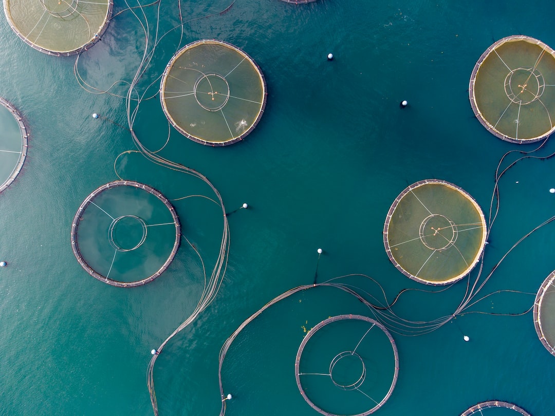 🐟 The first software for aquaculture focused on basic digitization, with 40% of apps having some basic farm management functionality. buff.ly/3DwFW1o #Aquaculture #AI #SustainableSeafood #ArtificialIntelligence #ROI #FishTech #MaritimeTech #OceanTech