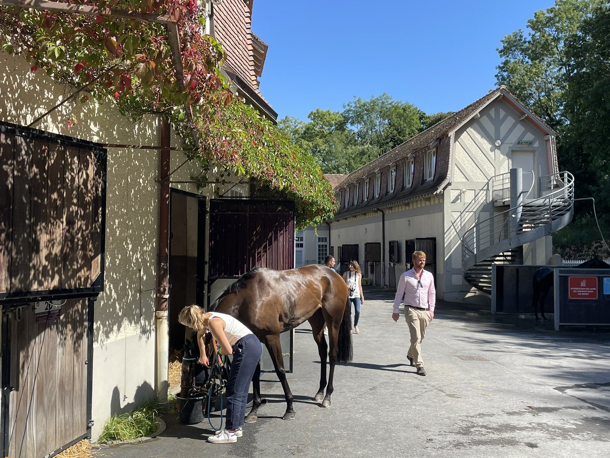 RacingBreaks's tweet photo. ☀️ 🇫🇷 Sunny afternoon at @hippoclairefont, a day after #Vandeek took the Prix Morny at Deauville-La Touques. 

Congratulations #MandarinBasc, winner of this evening’s Grand Steeplechase de la Ville de Deauville! 🏇 https://t.co/rrwMFVeknD