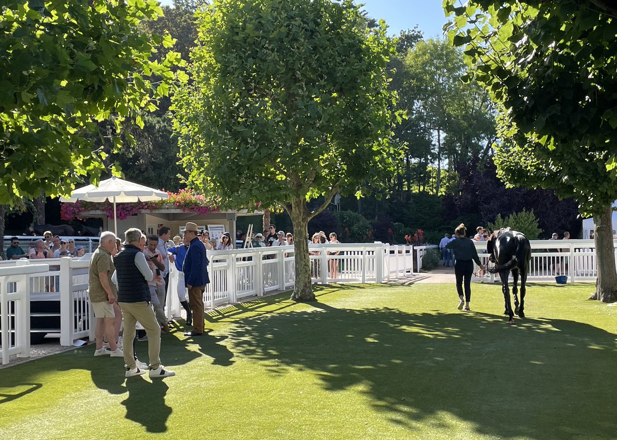 RacingBreaks's tweet photo. ☀️ 🇫🇷 Sunny afternoon at @hippoclairefont, a day after #Vandeek took the Prix Morny at Deauville-La Touques. 

Congratulations #MandarinBasc, winner of this evening’s Grand Steeplechase de la Ville de Deauville! 🏇 https://t.co/rrwMFVeknD