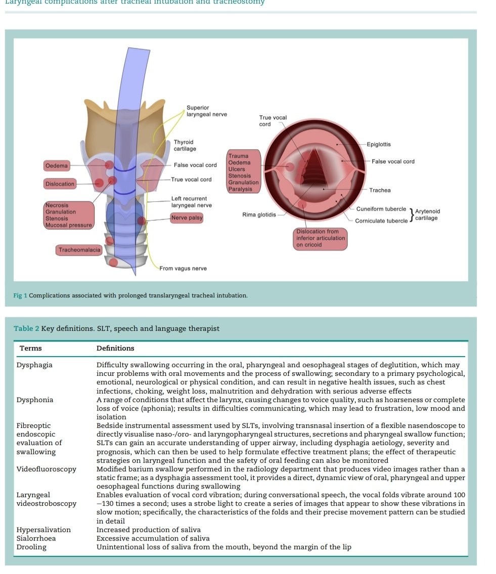 SOMELaguna's tweet photo. Complicaciones Laringe después de una Intubación y Traqueostomia
🤔🫁

🔰📚BJA Education 2021

doi: 10.1016/j.bjae.2021.02.005

Enlace a Articulo completo ✅ 👇🏼🆓️
https://t.co/RI53cNdEFq https://t.co/fXT5MswJ7c