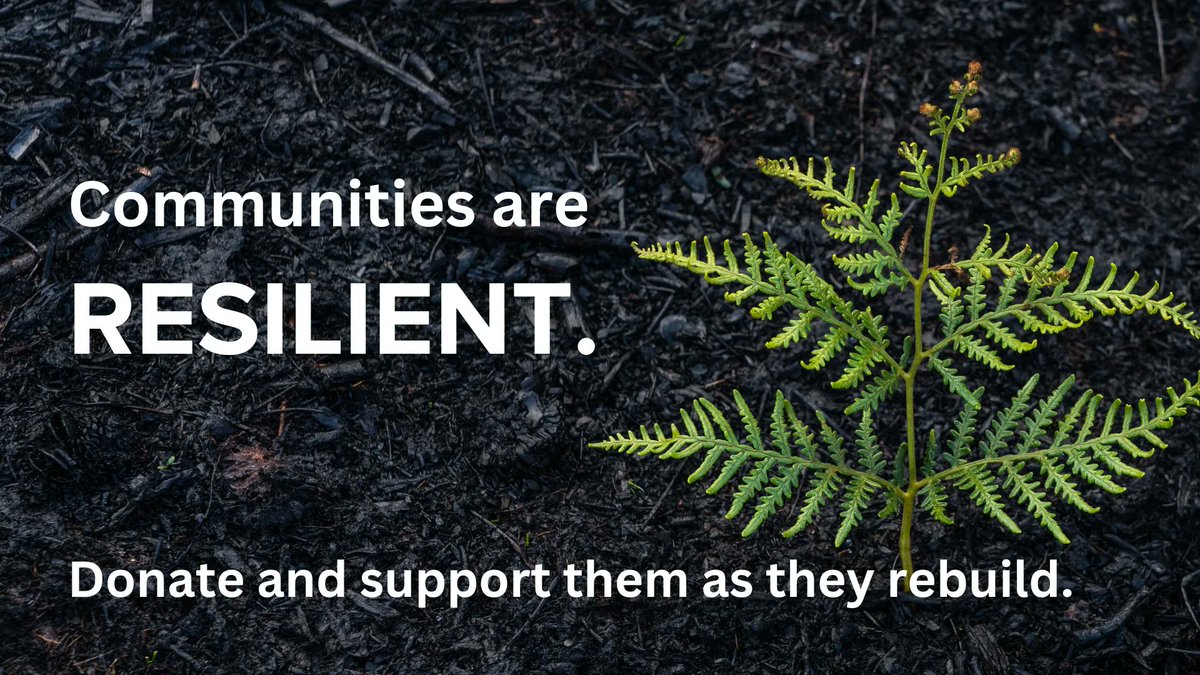 cfc_fcc_'s tweet photo. Our hearts are heavy as the country burns. Community foundations are actively working to support their territorial communities that are affected by wildfires. In moments like these, we’ve seen how communities from coast to coast to coast can rally together and support one another https://t.co/Ma6fMsZXIg