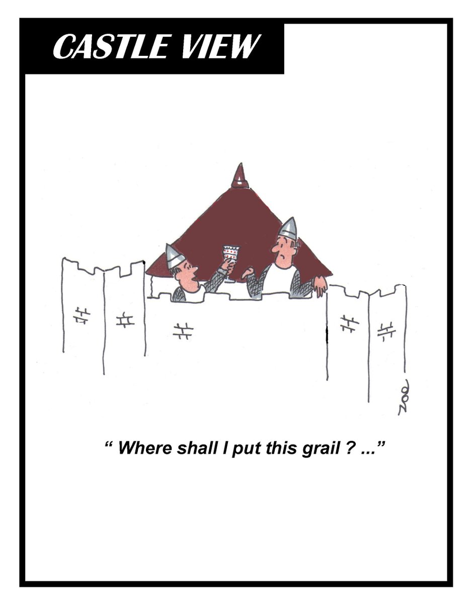 tonynoon642's tweet photo. Its the kind of question we all get asked at one time or another ...#MyCartoon #tonynoon #kingarthur #grailquest #holygrail https://t.co/0S8c4ED0e3