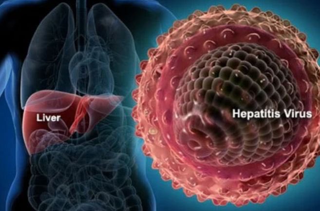 Eliminate #Hepatitis,it’s deadly💀☠️
We shall join @MinofHealthUG on 28th Aug 2023 as it commemorates #WorldHepatitisDay commonly celebrated every 28th July. Everybody has only 1 liver to protect. Go test for Hepatitis,vaccinate if -ve & follow medical guidance if +ve.‼️