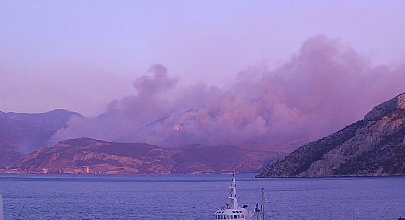 Χαμός και στον Tαρσός Βοιωτίας (19:50) #φωτια #πυρκαγια #Βοιωτια