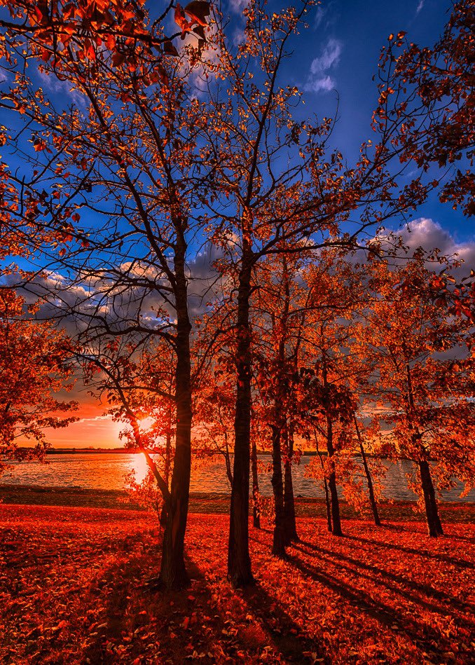 Earth Pictures (@__earthposts) on Twitter photo 