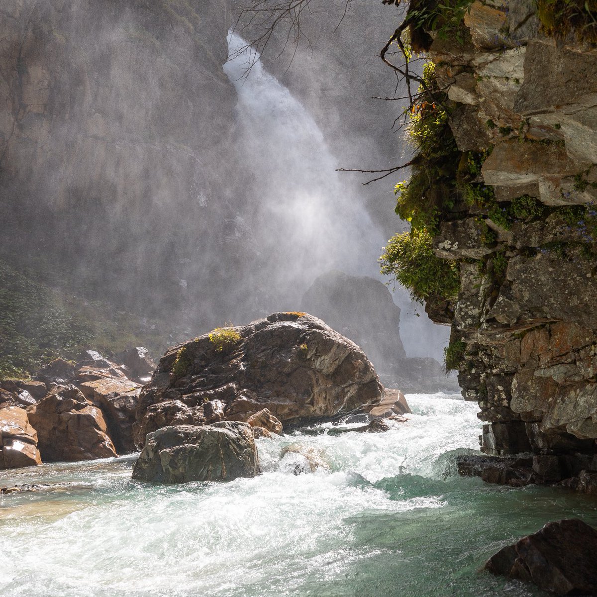 Itinera Magica tweet media