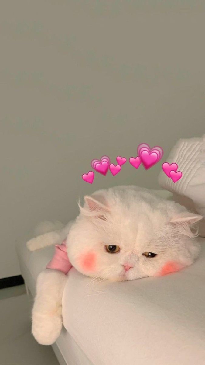 Aesetick_World's tweet photo. 💕💝 https://t.co/m35BeIvQbs