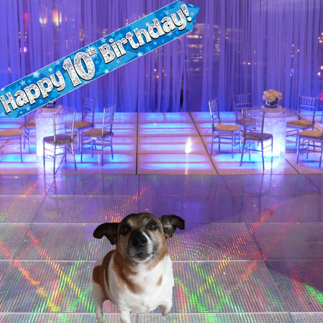 ClaLola's Café/Angel Claire & Lola tweet media