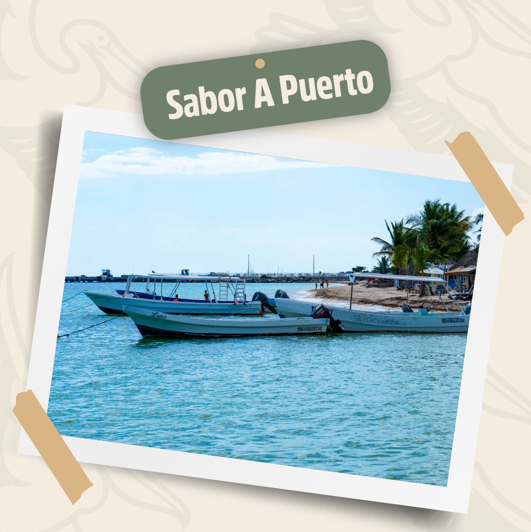 Puerto Morelos, autentico pueblo de pescadores. 🎣

🕣 Abierto de 8:00 am a 10:00 pm.

📍 Rafael E. Melgar. mza 2, Puerto Morelos.