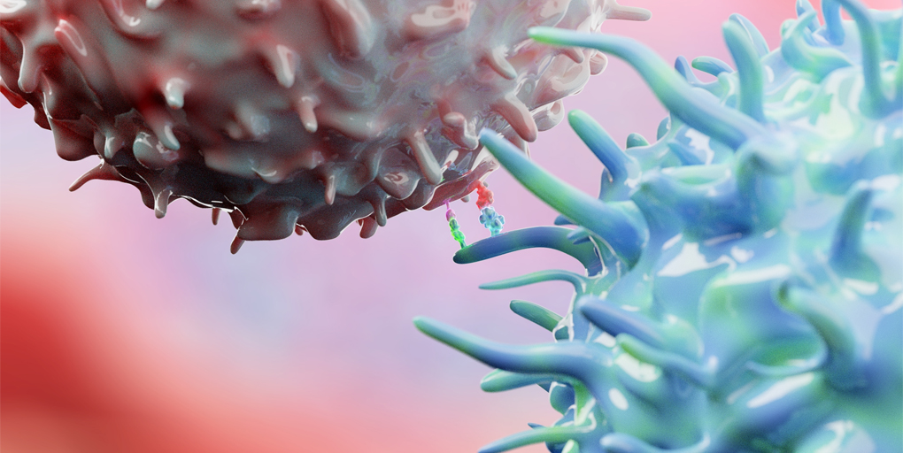 Cancer Discovery (@cd_aacr) on Twitter photo Read Cancer Discovery's #ResearchWatch:
A Cell-Surface MHC-I Inhibitory Axis Promotes Immune Evasion in Cancer, a summary of the paper by <a href="/xufeng_chen/">xufeng chen</a>, <a href="/QiaoLu8/">Qiao Lu</a>, <a href="/iannisaifantis1/">Iannis Aifantis</a>, <a href="/jwang133/">Jun Wang</a> et al.
bit.ly/3P4v9lx
<a href="/nyugrossman/">NYU Grossman School of Medicine</a> Read Cancer Discovery's #ResearchWatch:
A Cell-Surface MHC-I Inhibitory Axis Promotes Immune Evasion in Cancer, a summary of the paper by <a href="/xufeng_chen/">xufeng chen</a>, <a href="/QiaoLu8/">Qiao Lu</a>, <a href="/iannisaifantis1/">Iannis Aifantis</a>, <a href="/jwang133/">Jun Wang</a> et al.
bit.ly/3P4v9lx
<a href="/nyugrossman/">NYU Grossman School of Medicine</a>