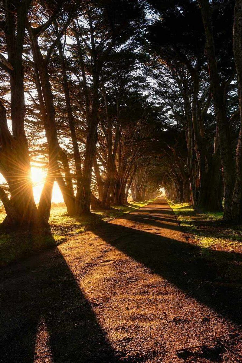 (☝◞‸◟)☞ 𝙰𝚕𝚒 𝙰𝚋𝚋𝚊𝚜 tweet media