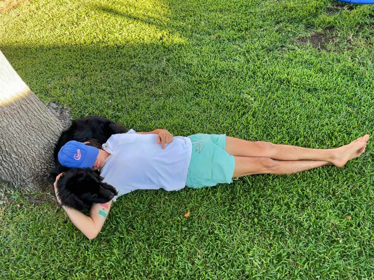 julianbacosta's tweet image. Does anyone else nap like this sometimes? 🤔

#styleblog #instamusic #dogphotography #musicforlife #concerts #styleoftheday #dogscorner #motivation #cutedog #dogoftheday #puppy #stylefashion #fashionbloggers #instadog #pop #instagood #musicaddict #fashion #doglove #ilovedogs