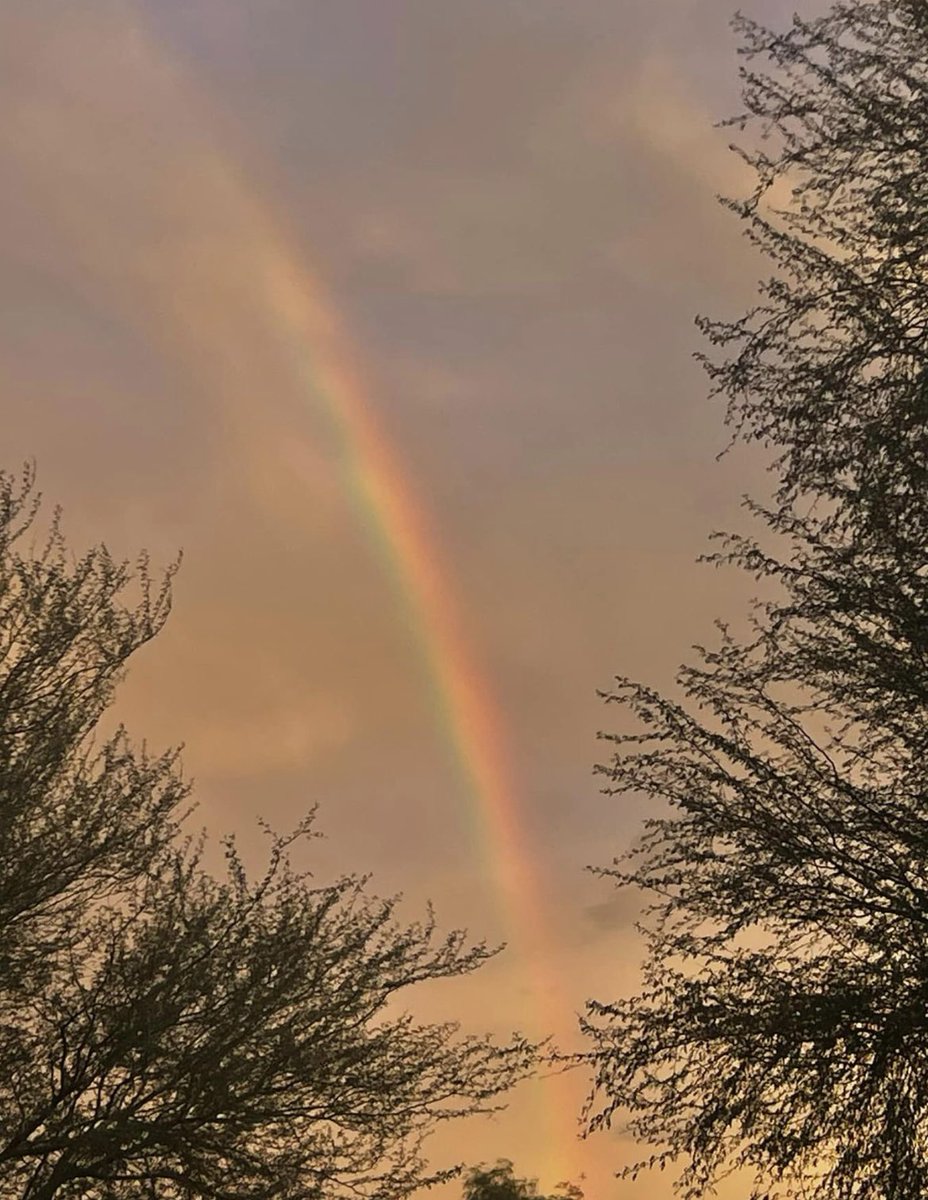 Always 🌈 after ☔️