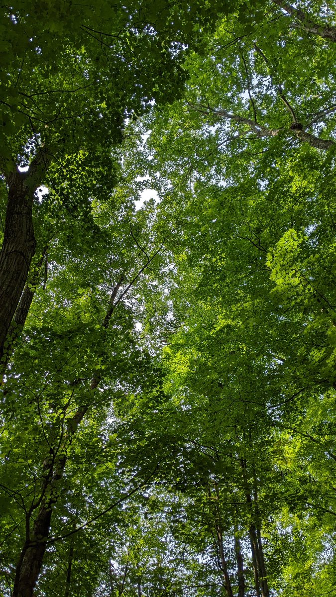 ARButler89's tweet photo. Awesome late summer's day for fieldwork with @sarahnrichard #WMML https://t.co/Nj2zPN1qJH
