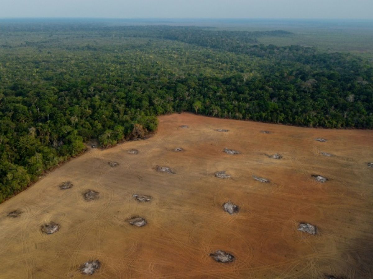 Babar_le_Rhino's tweet photo. À gauche :
La déforestation de l'Amazonie, dont l'invitation au sommet pour la sauver a été ignorée par Macron

À droite :
3 brins d'herbes de green de golf arrachés qui a suscité l'indignation risible des ministres macronistes

Vous comprenez leurs priorités maintenant ? https://t.co/HFxo2rvOva