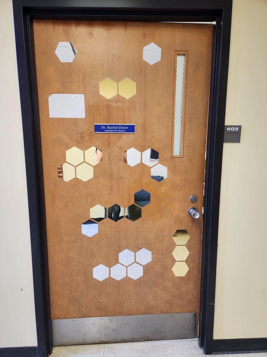 racheldiner's tweet photo. Old door with some new bling! Today is my first official day as an assistant professor 
@UofMemphisBio
!!! https://t.co/OMDOrMNj0i