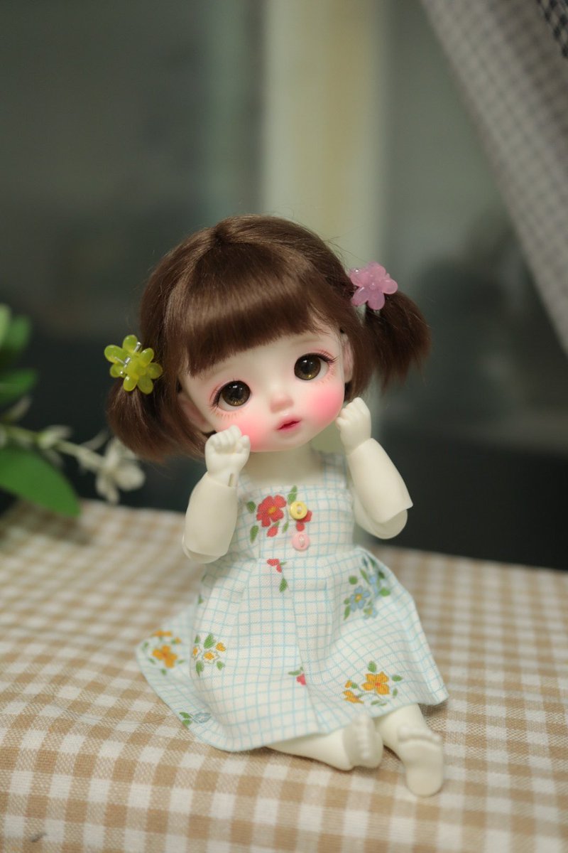 코코냥 tweet media