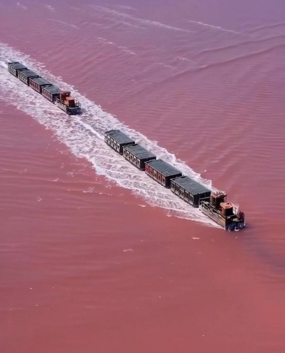 gradientechna's tweet photo. Lake Burlinskove is a pink lake in Siberia with a train that runs through it. The train collects sediment from the lake bed using harvesting tools, as part of a salt harvesting operation dating back to 1768. This method yields 65,000 tons of salt each year. https://t.co/BcMXSwy1J4