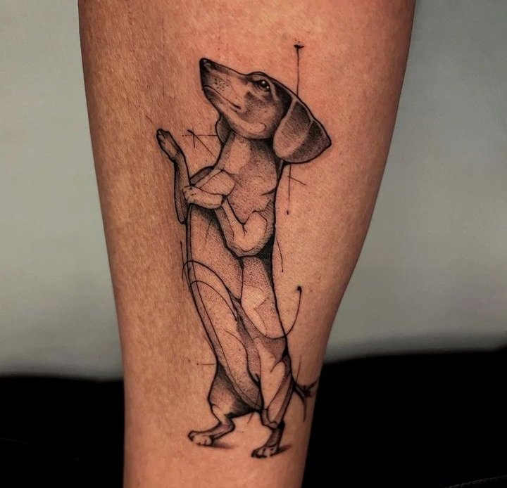 Dachshund Forever 
#Dachshund #dog