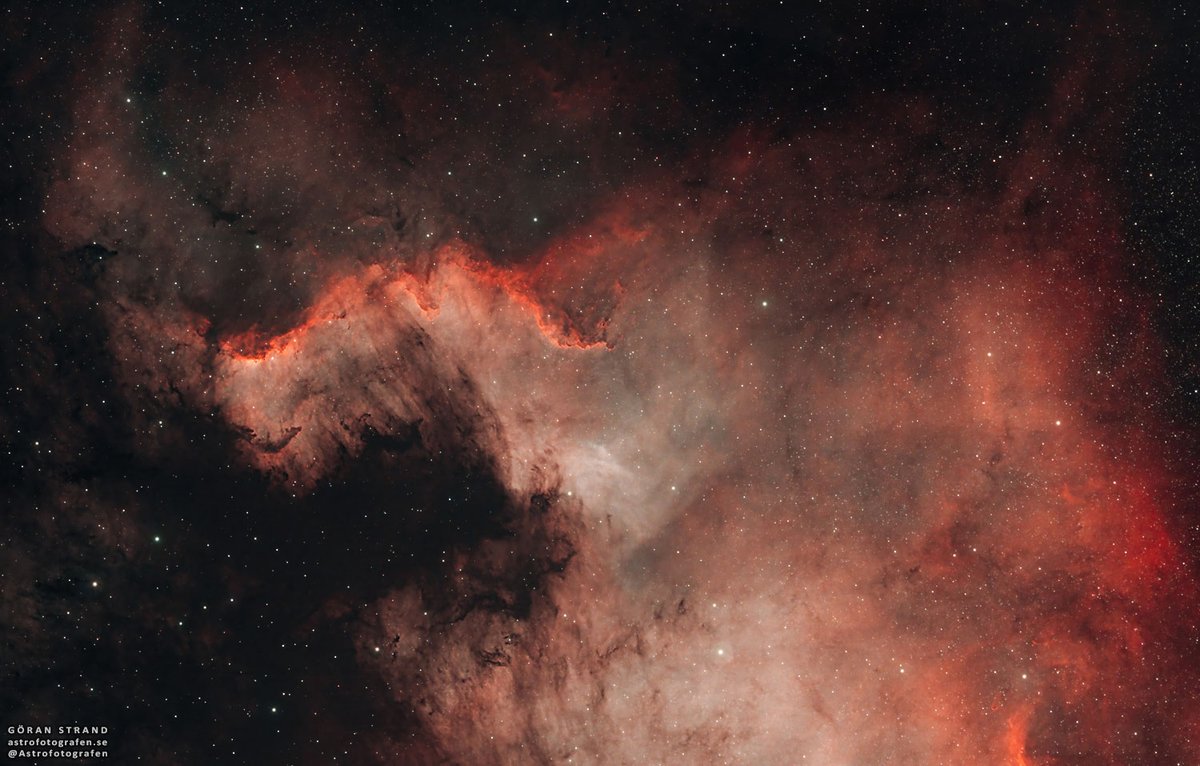 This weekend I kicked off the deep sky season with 2 hours on the #NorthAmericanNebula. The night sky is still a bit to bright but I'm pleased with the result. Please watch a video I did on the image, guiding you around the nebula - youtu.be/RMDfr4OYXGo #astrophotography