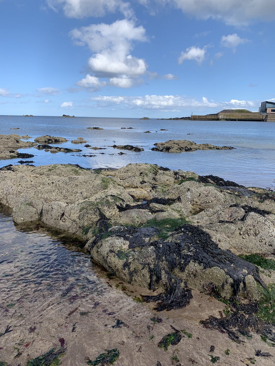 Today we took a trip across the border to the quaint little fishing village of #eyemouth. The beach is lovely, and we found  @Giacopazzis serving amazing gelato 
#summerholidays