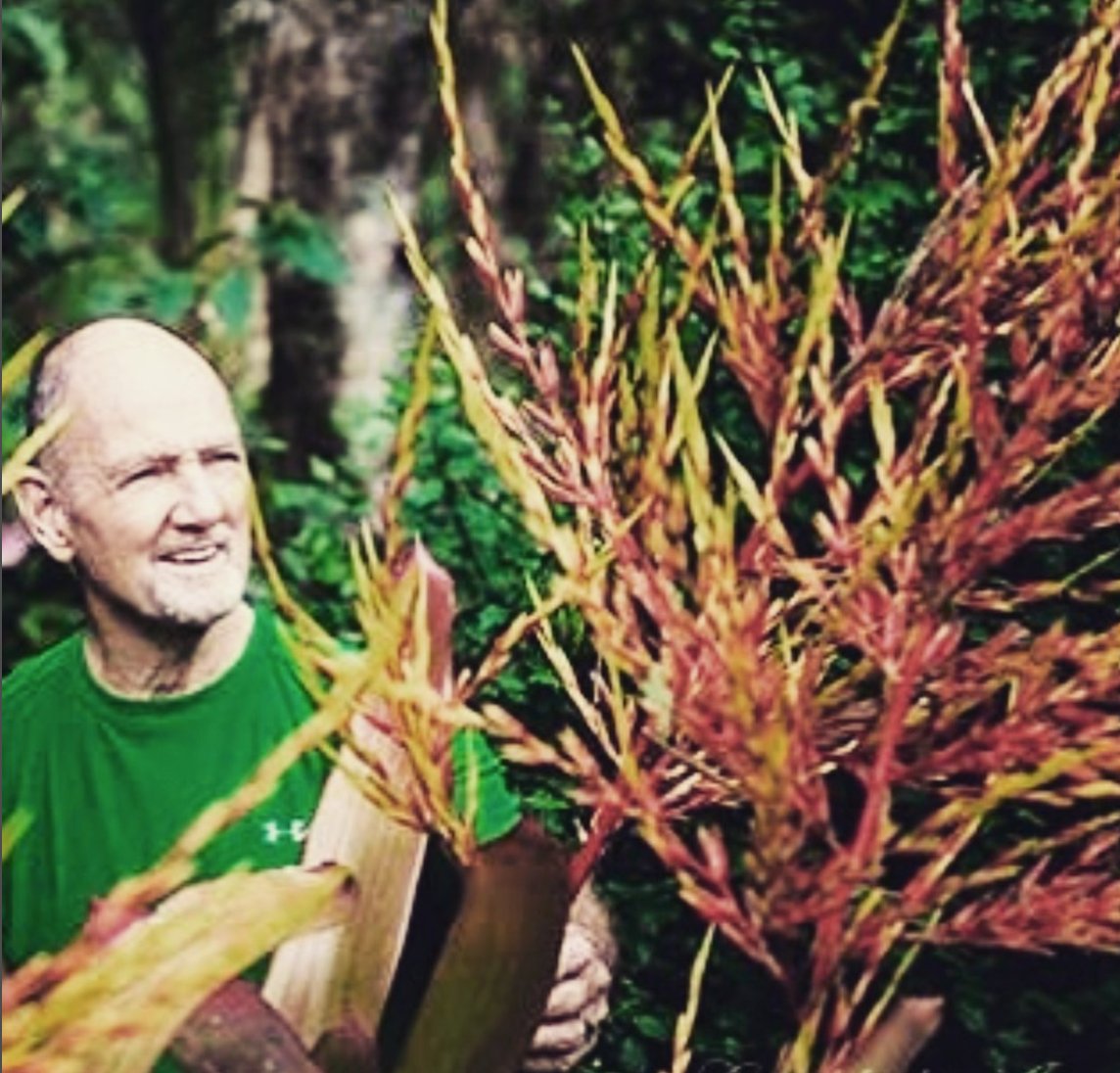 MichaelJRoads's tweet photo. “Loving the garden, loving the land, loving the plants; really loving Nature - this creates a conscious relationship with Nature".
Here are the links to order (soft cover, e-book, PDF): https://t.co/ZCGyTIoKoE

#nature #michaelroads #spiritual #teacher #author #connect #choose https://t.co/sSBdddGdol