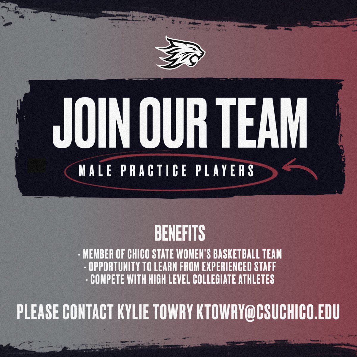 🗣️ Attention Chico students! We are looking for practice players to join our team! If you or someone you know is interested please email Coach Kylie 🏀

#WildcatFamily