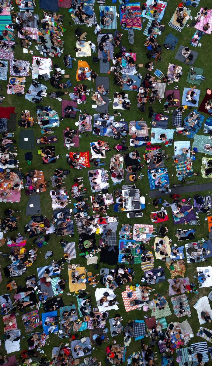 Incredible views of our open-air screening at Christie Pits Pale last night. Find our final shows at topictureshow.com/2023-calendar #toronto #toculture #tolocal #christiepits #torontoevents #exploretoronto #travelontario #cityTO