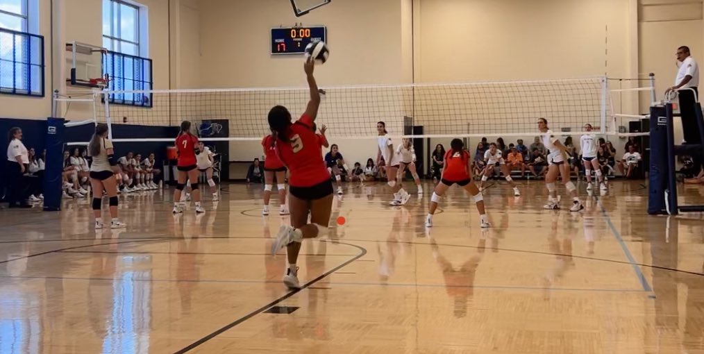 JayciAlba9's tweet photo. Game day! Niners vs. Chesterton          @ 5pm 🏐❤️💛 https://t.co/AoGf4Dketu