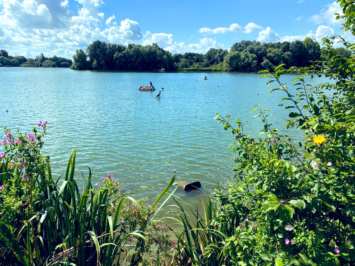 Colwick parkrun tweet media