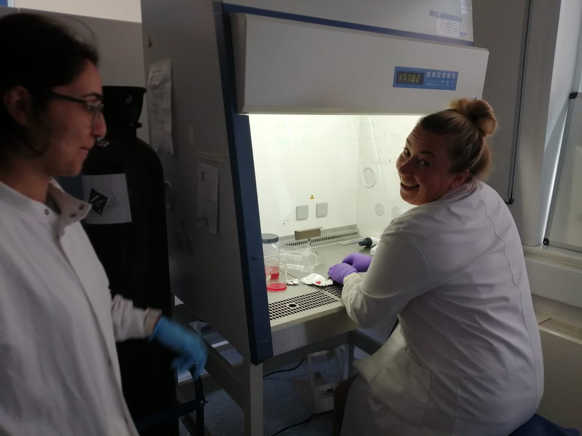 BioActivEx tweet media