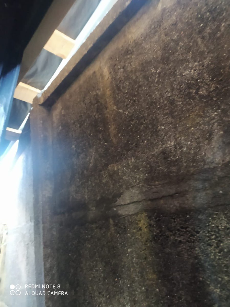 KDrimbea's tweet photo. Daños en propiedad privada por estacionamiento de la U San Sebastián Cpp. Casa ubicada en Calle Las Camelias 65, CERO respuesta hasta ahora por parte de la U ayuda! @ICEBiobio @Muni_Concepcion @indignadobiobio @TVU_television @TVN @T13 @OctavaBioBio @biobio https://t.co/ERNQNJDKOr