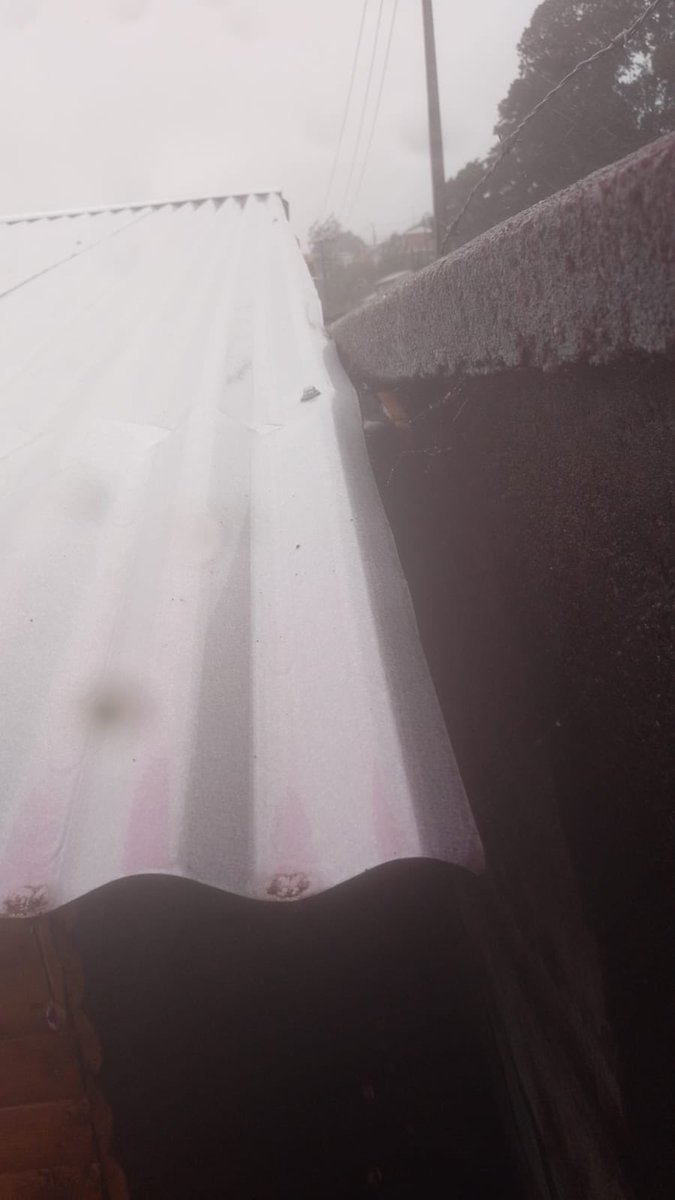 KDrimbea's tweet photo. Daños en propiedad privada por estacionamiento de la U San Sebastián Cpp. Casa ubicada en Calle Las Camelias 65, CERO respuesta hasta ahora por parte de la U ayuda! @ICEBiobio @Muni_Concepcion @indignadobiobio @TVU_television @TVN @T13 @OctavaBioBio @biobio https://t.co/ERNQNJDKOr