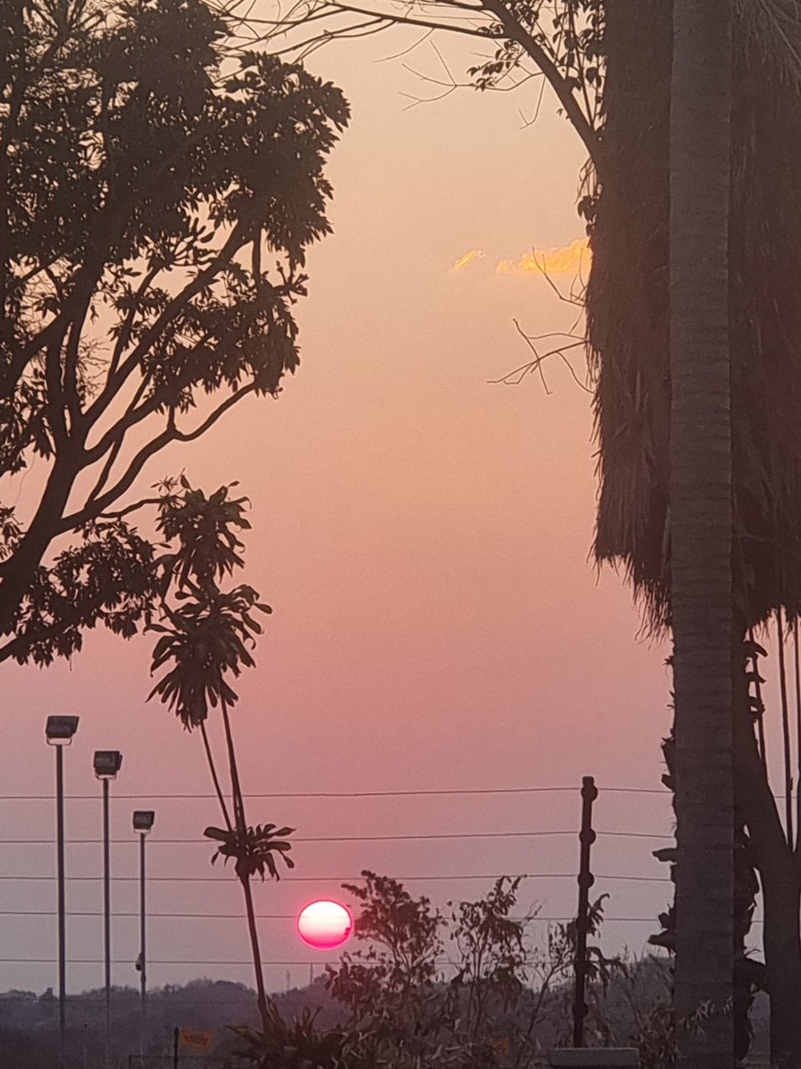 KeSeiphi's tweet image. My boo Tsuki shared this #Polokwane sunset. A #ShareYourSunset