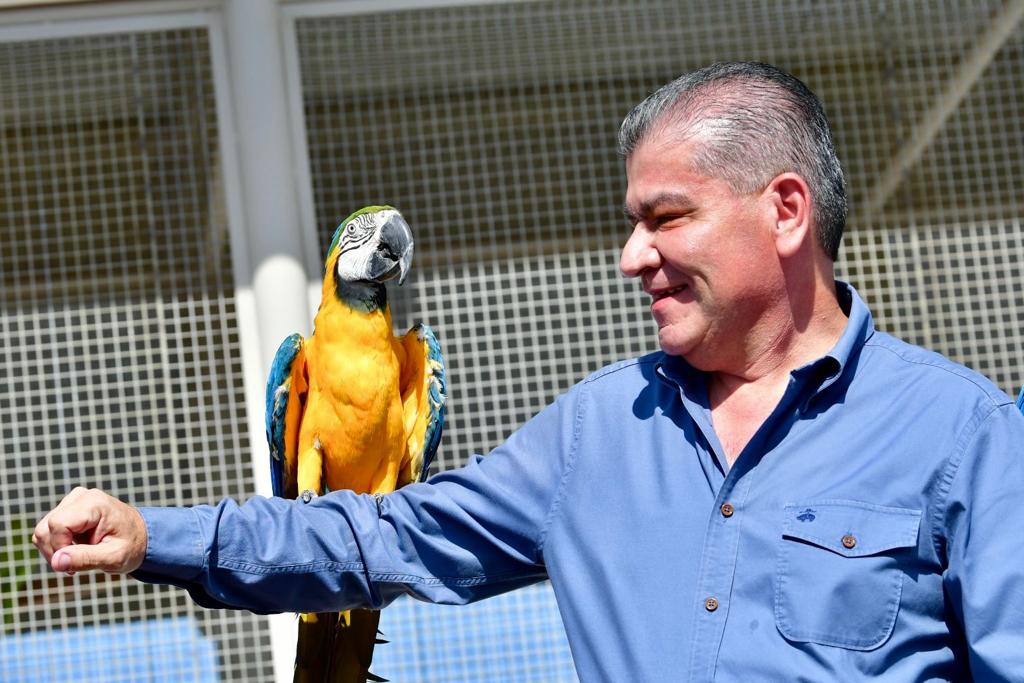 mrikelme's tweet image. Hoy inicia la ampliación del Aviario Lira, un espacio muy querido en nuestra ciudad.

Con el alcalde de #Torreón, @RomanCepeda  y directivos de @IndPenoles arrancamos las obras que habilitarán 10 mil m2 más, y recibirá a 2,700 aves en exhibición y 90 aves exóticas. (1/2)