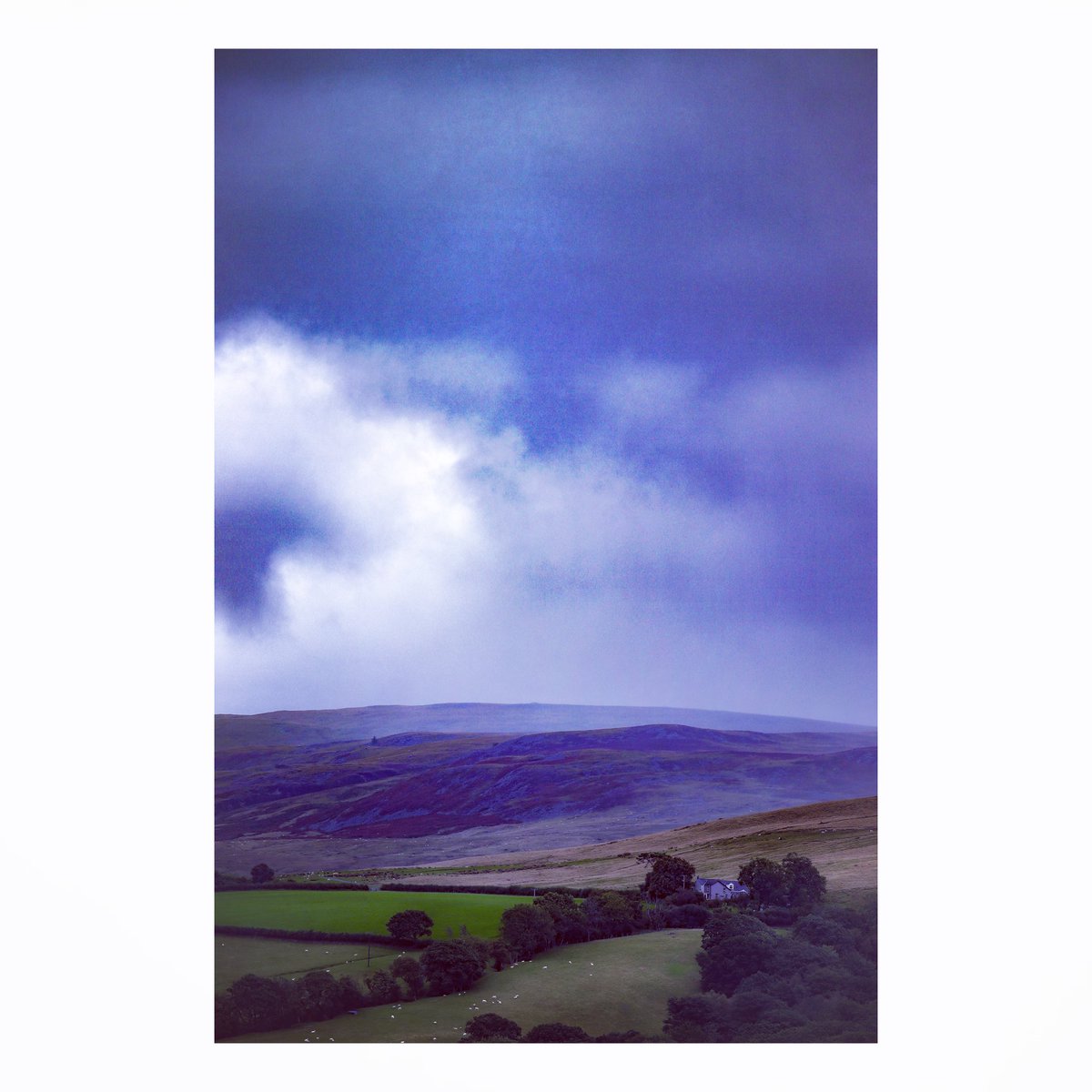 A Welsh Summer 

@BannauB 

#CarregCennen #LandscapePhotography #WalesOnline #MurkyDay #BannauBrycheiniog #CastellCarregCennen #WestWales #WindyDay #AugustDay #WelshSummertime