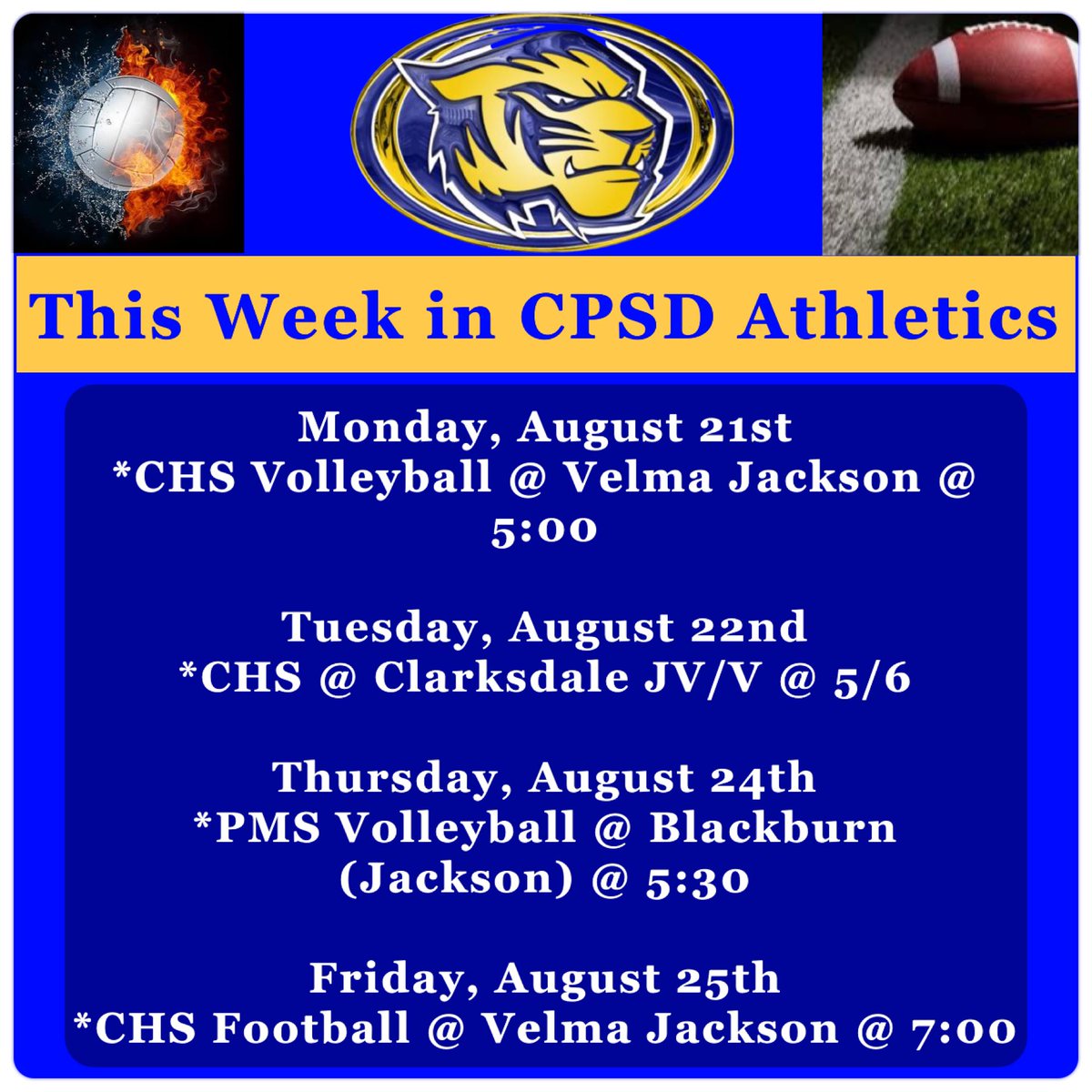 Support your Tigers!🐅