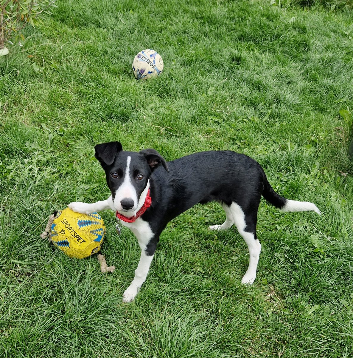 Cathy Petersen tweet media