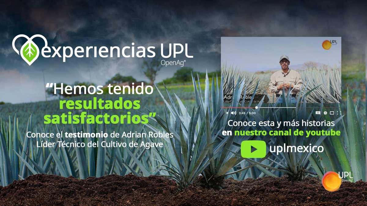 uplagro_mexico's tweet photo. Adrián Robles, técnico del cultivo de #agave, nos comparte su experiencia.
👉🏻 Conoce los beneficios al usar nuestras #SustanciasHúmicas como #KTionic y #Humiplex para la asimilación de nutrientes y su ayuda al crecimiento del cultivo a pesar de enfrentarse al cambio climático. https://t.co/pYl9Szi9NF