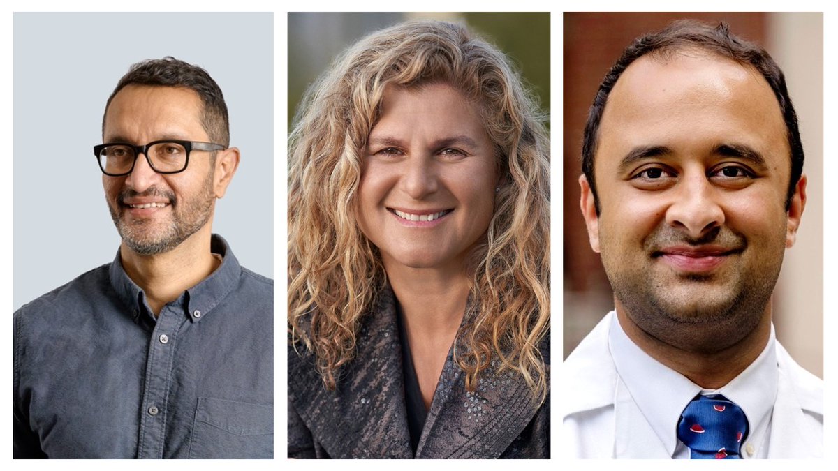 Marissa Bertorelli tweet media