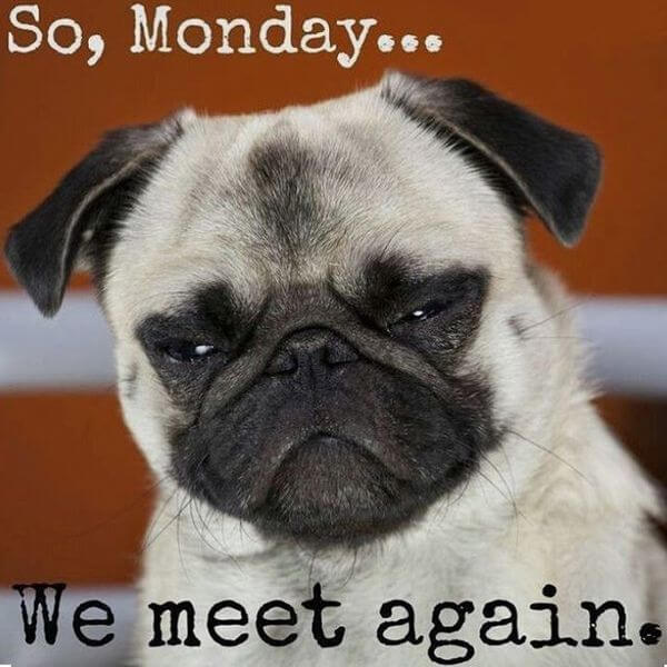 Welcome to Monday!
