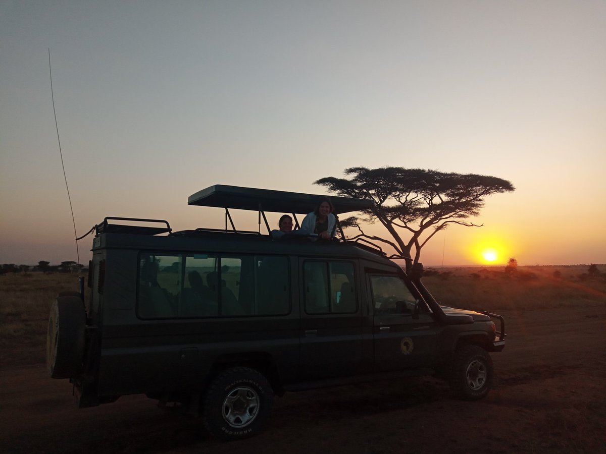 Great sunrise at the middle of nowhere!

For info and booking contact us;
Email: info@africandiurnalsafaris.com
WhatsApp/calls: +255 765 537 729
Website: africandiurnalsafaris.com

#serengetipark #mara #Safari #holiday #safariadventure #USA #unforgettablesafari #gotoafrica #Kenya