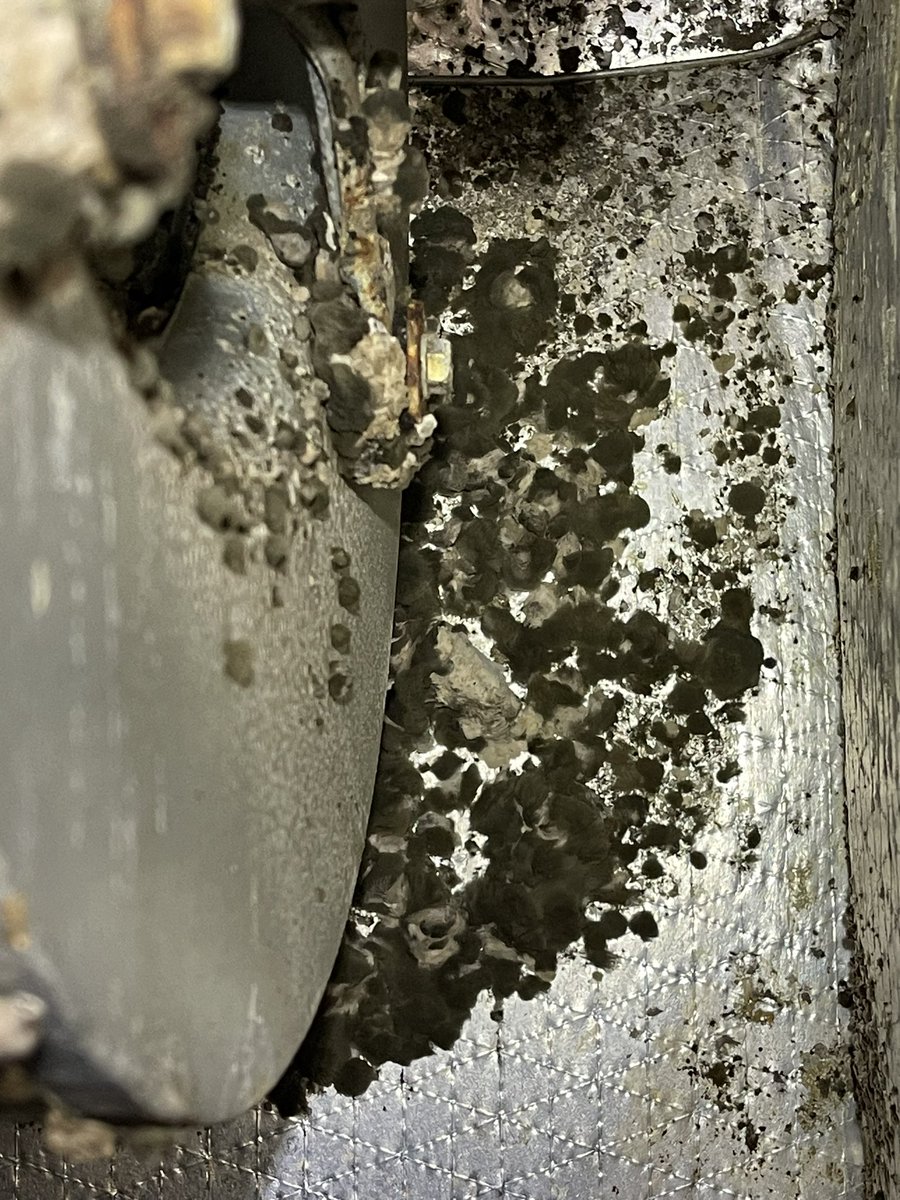 MicahPW20's tweet photo. This air handler is straight up disgusting. Idk how these people in this control room don’t stay sick breathing this air.
@JollyRoger300
#HVAC #HVACTech #XRPHVAC #AHU #AirHandler #Nasty https://t.co/mqlf9bJ49B