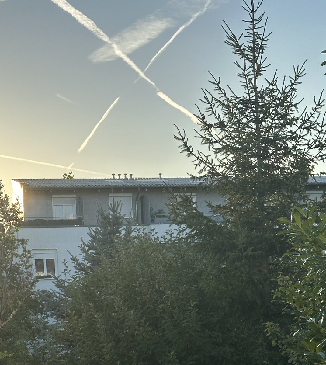 mahaveer75's tweet photo. @elonmusk @elonmusk today’s @SpaceX from my Garden 😀 https://t.co/pqJfLaV5N0