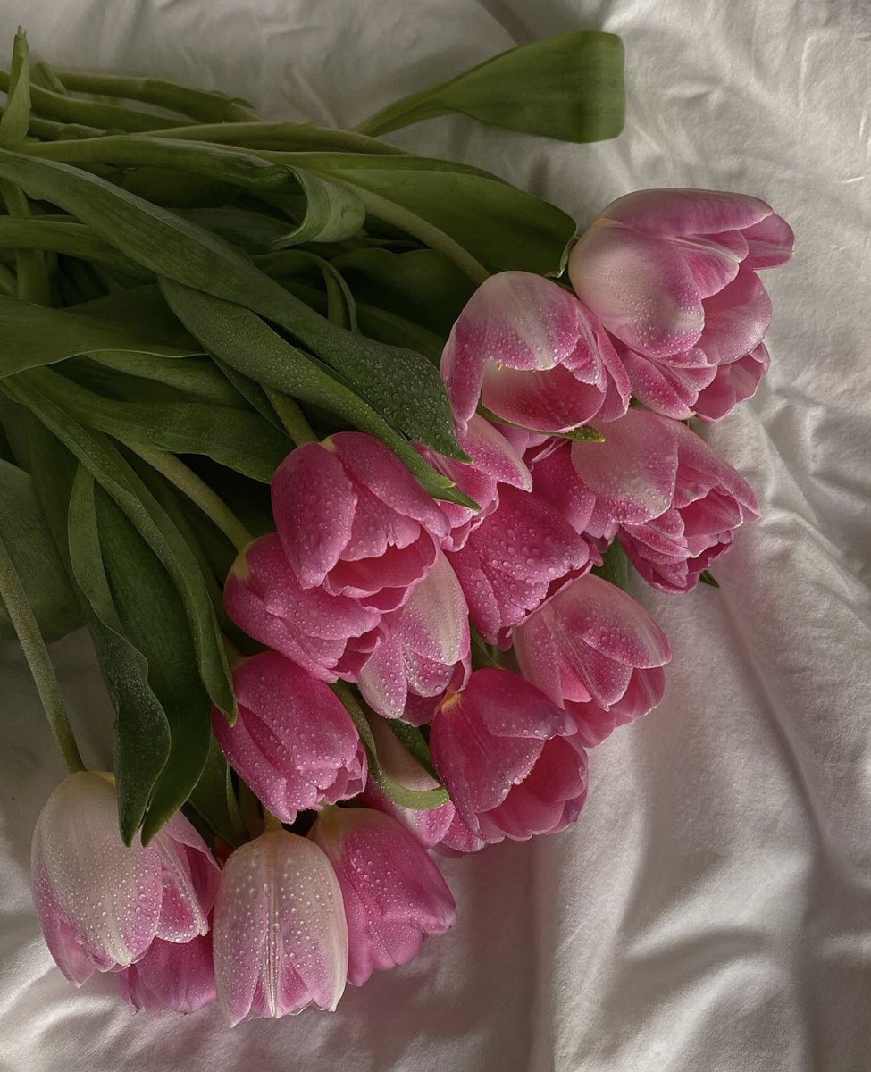 Lvspink0's tweet photo. 𝐹𝓁𝑜𝓌𝑒𝓇𝓈 https://t.co/js7cUJWx5B
