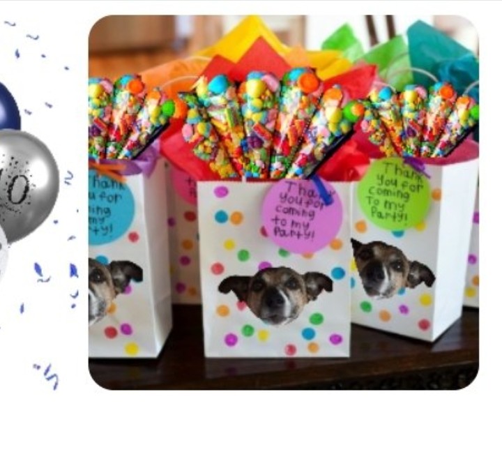 Oreo🐾SuzyMum🤦🏼‍♀️&🌈😇😇Buddy&Rocky🌈😪💔 tweet media