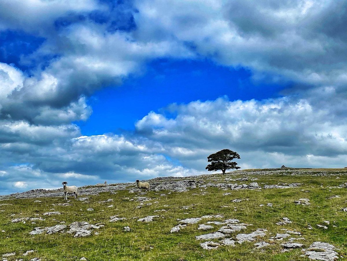 oldcrofthouse's tweet photo. #wildboarfell #viewsformiles #mountainwalking #westmorlanddales #YorkshireDalesNationalPark #walkingholiday #kirkbystephen #Cumbria @VisitEden #landscapephotography https://t.co/ERJUVCqBaa