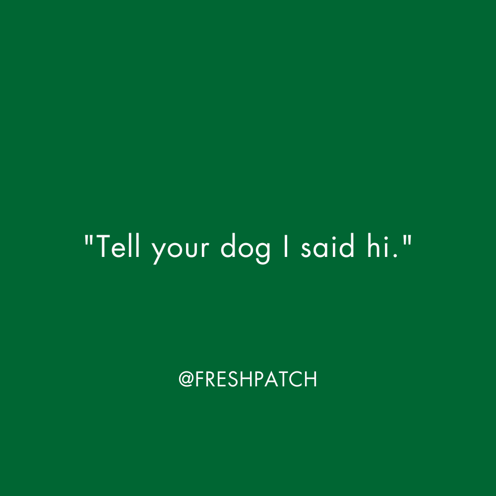 👋🥰🐶 #doglover #dogpeople #dogquote